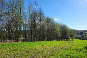 Działka Sprzedaż Brzoskwinia