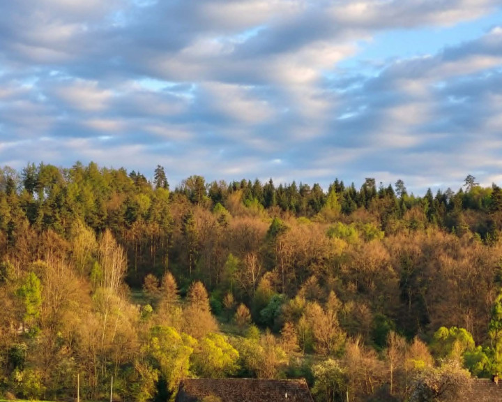 Działka Sprzedaż Włosań